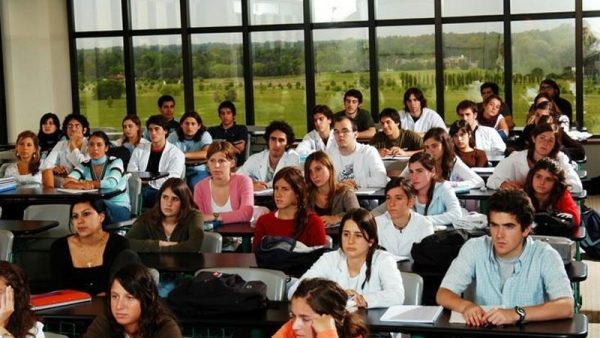 Cuántas Materias Universitarias Deberías Estar Dando